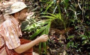 Rainforest Producers: Sustainable Farming Explained