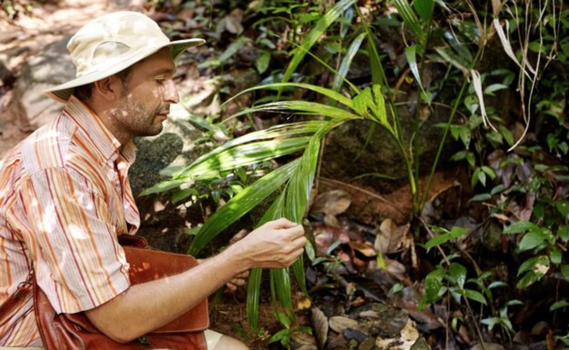 Rainforest Producers: Sustainable Farming Explained